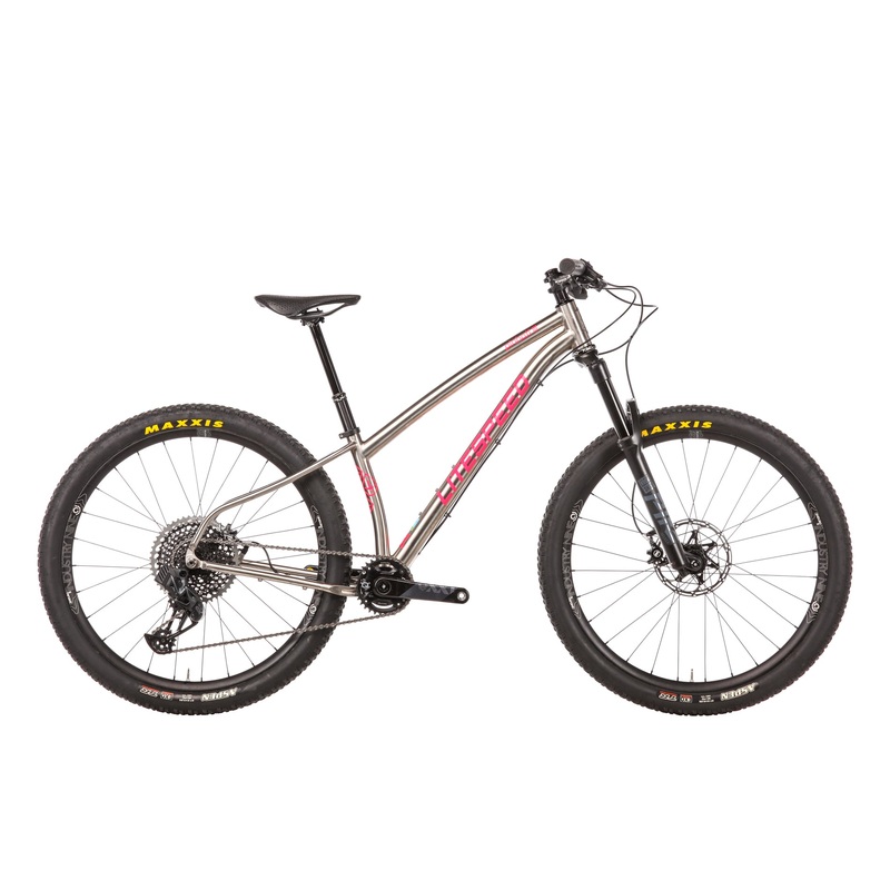 Litespeed Pinhoti III Mountain Bike – 2022, Small