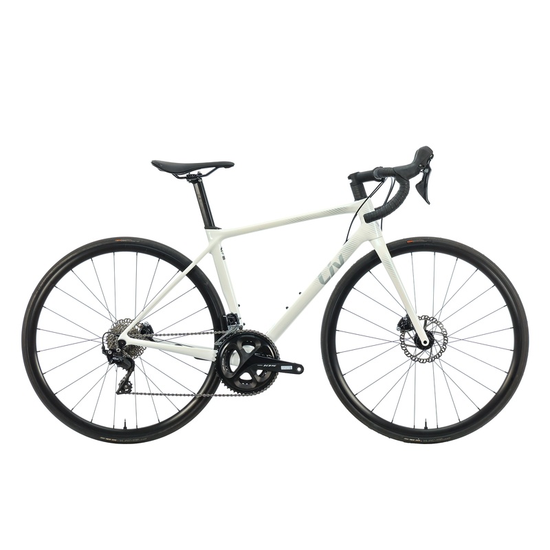 Liv Langma Advanced 2 Disc Women’s Road Bike – 2021, Small