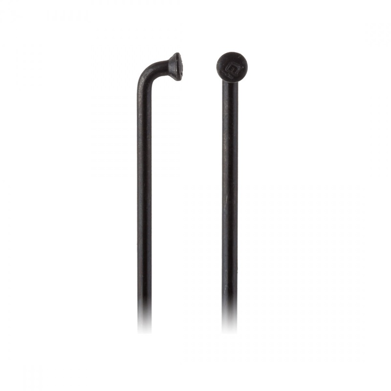 Spoke Dt Champ Black 2.34 294 Bxof100