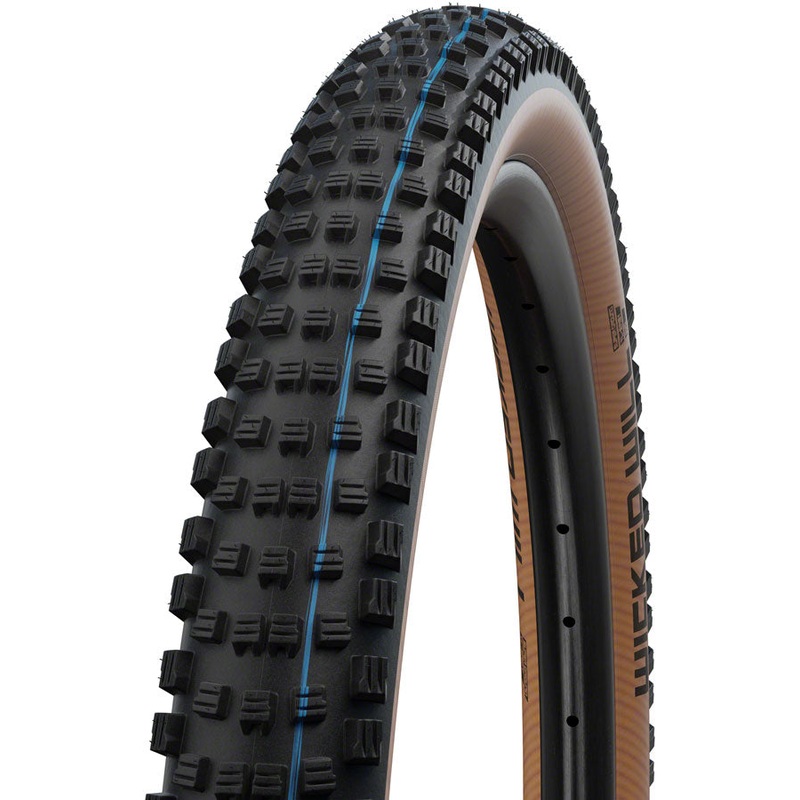 Schwalbe Wicked Will Tire – 29 x 2.4, Tubeless, Folding, Black/Transparent, Evolution Line, Super Race, Addix SpeedGrip