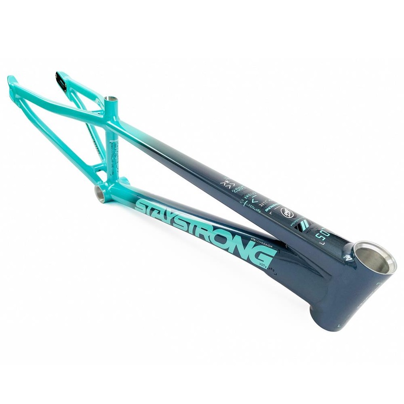 Stay Strong For Life 2024 V5 Mini Race Frame – Disc Version