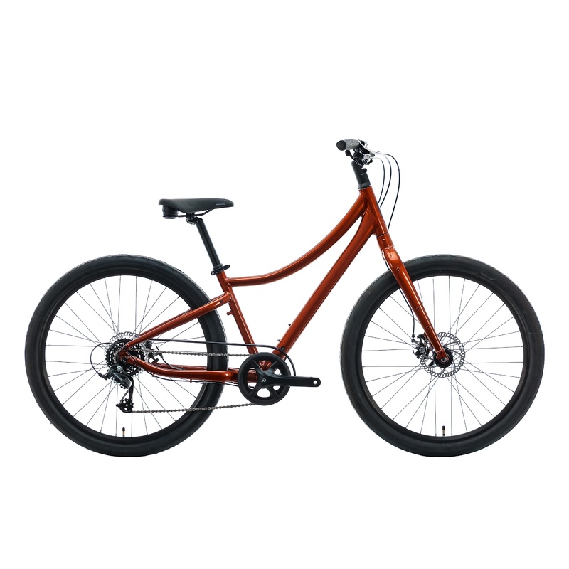 Momentum Vida Comfort Bike – 2021, Small