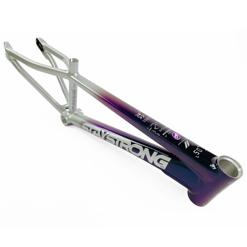 Staystrong V5 Disc Expert XL Frame