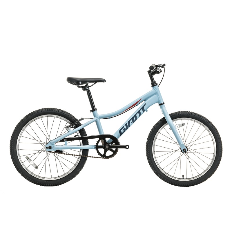 Giant XTC Jr 20 C/B Children’s Mountain Bike – 2021, One Size