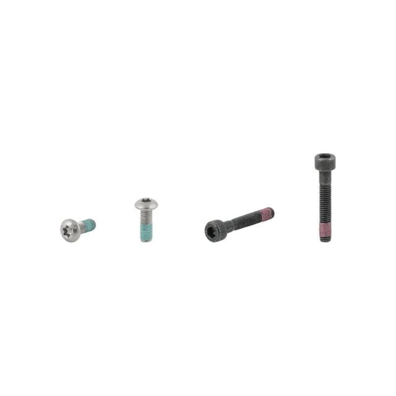 Townie Go! 5i Rack Bolt Set