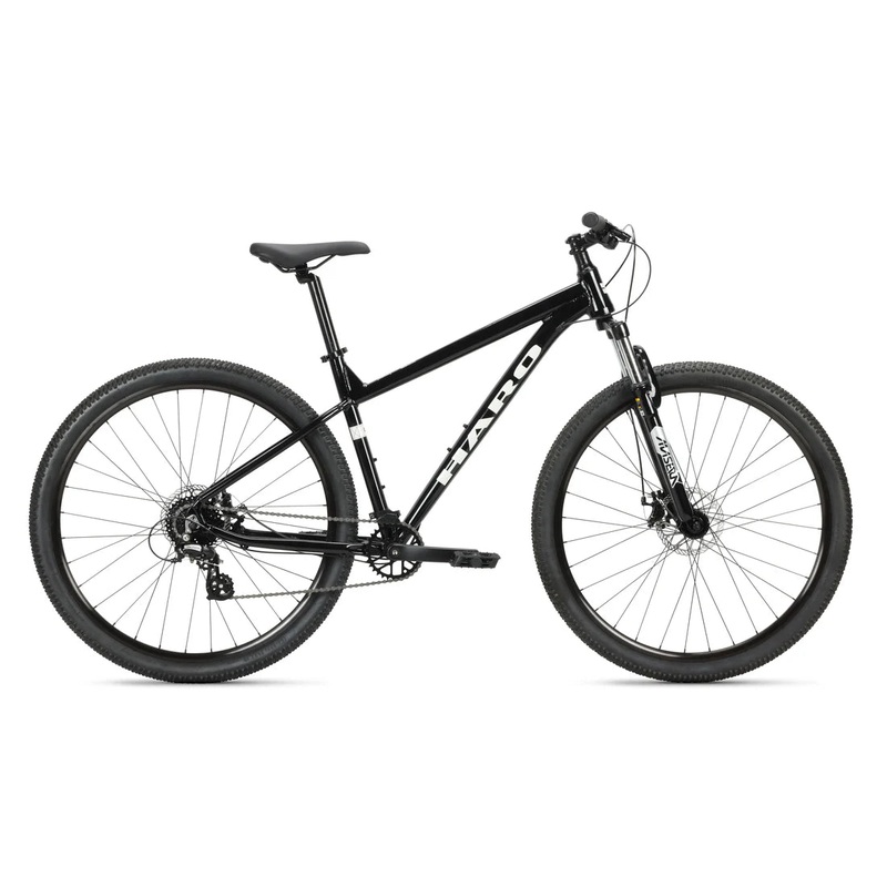 29″ Haro Flightline Two