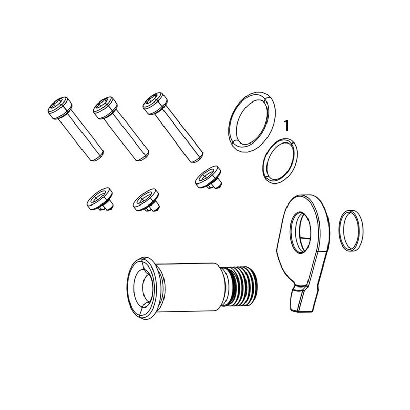 GX 2X11 Rear Derailleur B Bolt and Limit Screw Kit