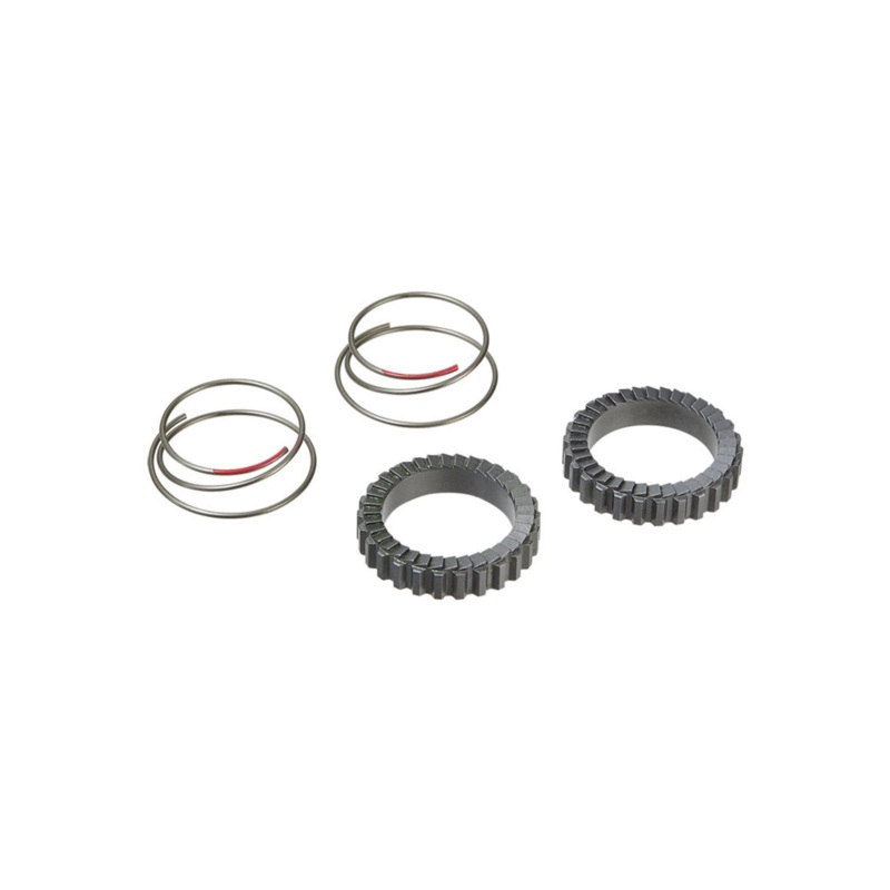 Ritchey Star Ratchet Rings and Springs Kit